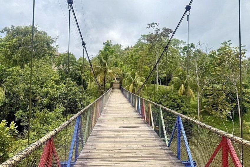 Visit Hacienda Naples Theme Park by Pablo Escobar 3