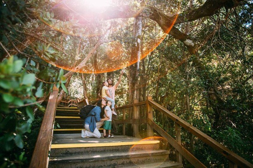 Tour with Navigation to the Arrayanes Forest and Victoria Island 3