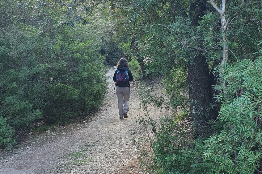 Archaeological and Naturalistic Tour to the Village of Tiscali