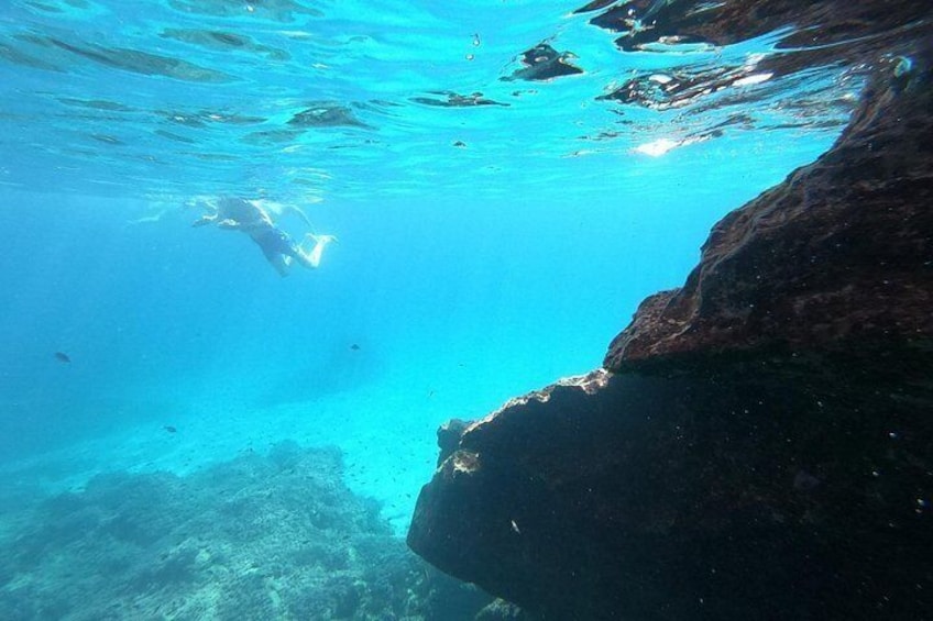 A diver underwater near a rocky coastline. 3