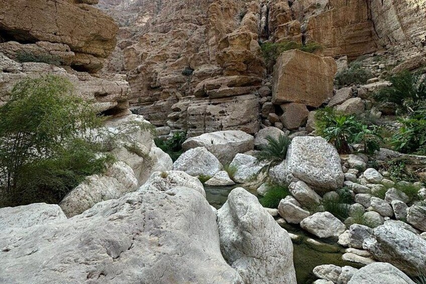 Full Day Wadi Shab and Wadi Tiwi Tour 3