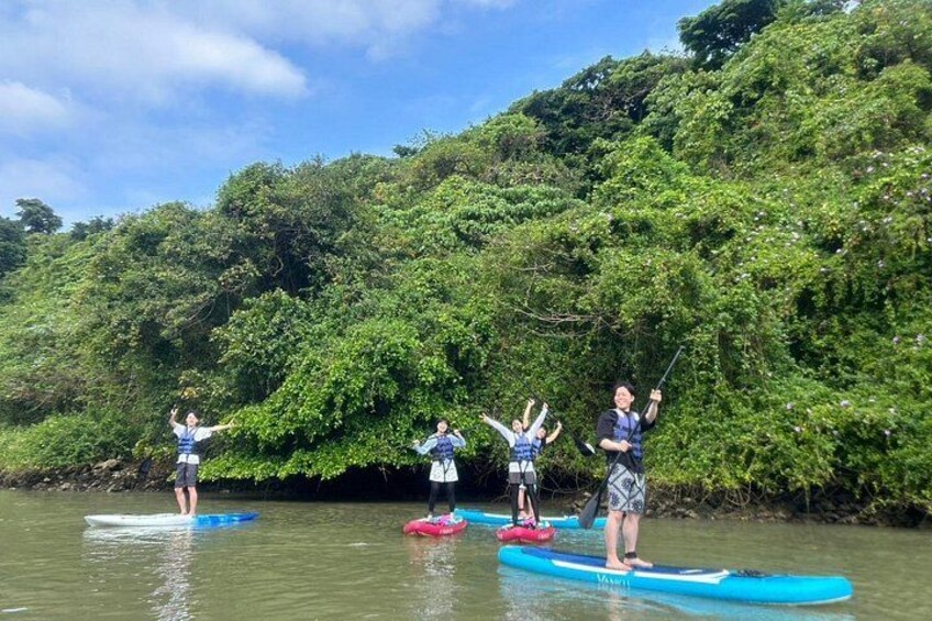 Mangrove SUP in Okinawa 1