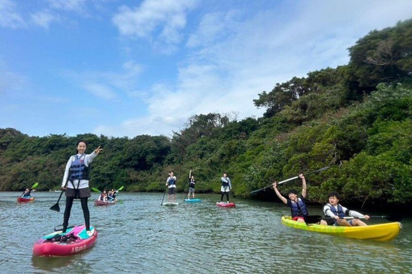 Mangrove SUP in Okinawa 5