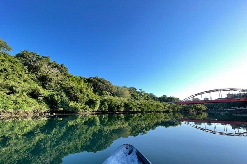 Mangrove SUP in Okinawa 4