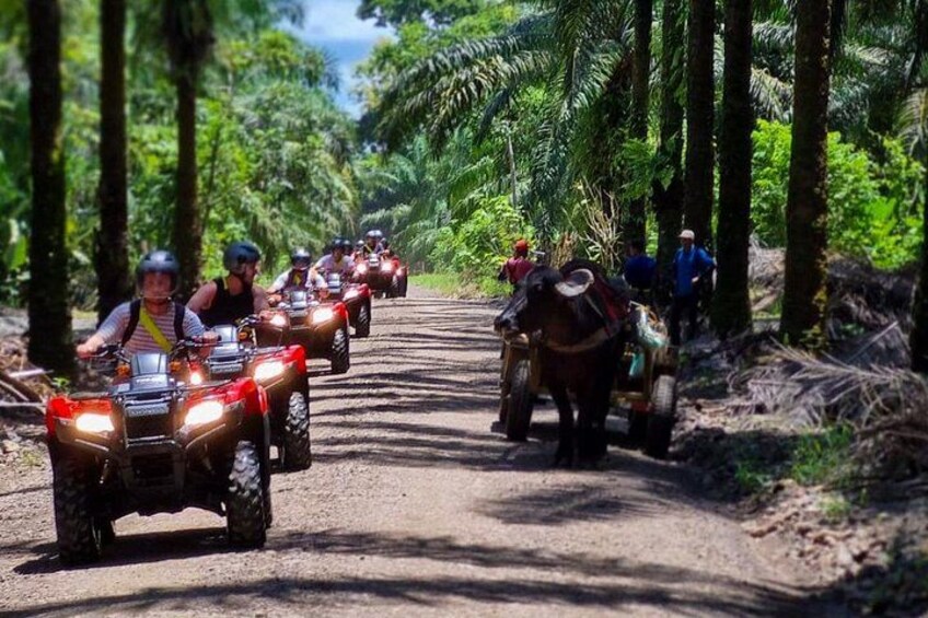 Manuel Antonio: Off Road Rainforest and Waterfalls ATV Tour 4