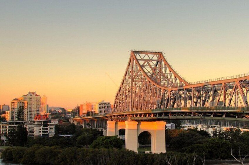 Cruise Lines Shore Tour Brisbane Highlights and Lone Pine 5