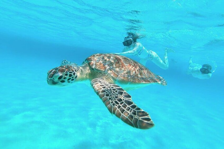 El Cielo Cozumel Snorkel Private Boat + Food + Drinks + Beach 5