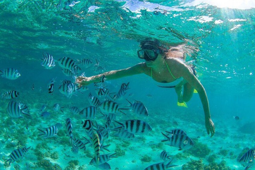 Iemand snorkelt onder water, omringd door vissen. 1