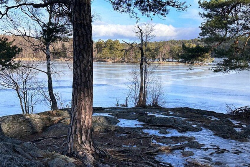 Icebathing and Sauna in Stockholm nature 2