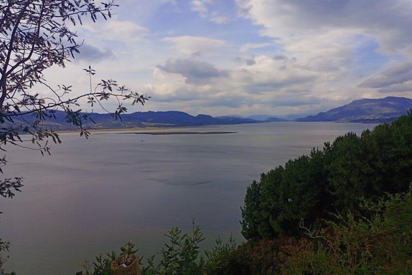 Un lago con montañas al fondo y un árbol en primer plano. 3