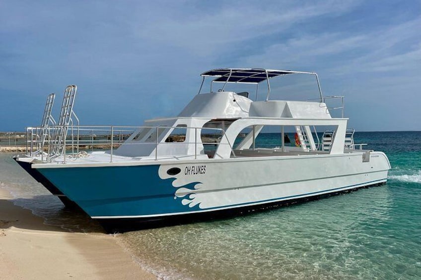 A boat named 'OH FLUKES' on a sandy beach with clear turquoise water. 5