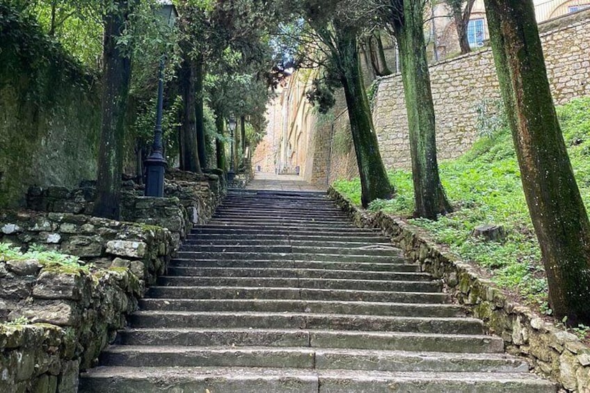 A stone staircase flanked by trees and a stone wall, leading up a hill. 5