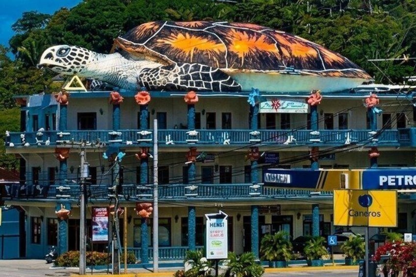 Private Chocolate & Rumfactory Tour Snorkeling CoralReef WestEnd 5