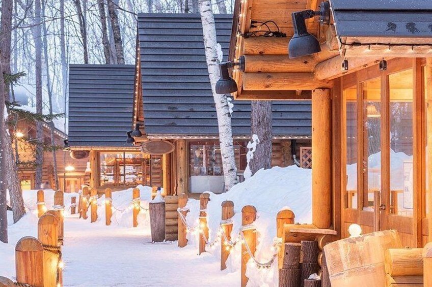 A wooden cabin with a snow-covered path and a lit-up Christmas tree. 5