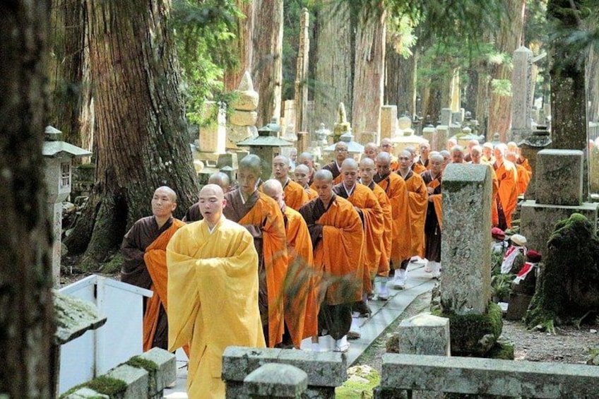 Mt. Koya Sacred Sites in 1 Day Tour with Licensed Guide 1