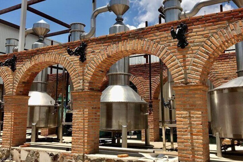 Weekend Entre to Charros Mariachi Tequila and Guachimontones