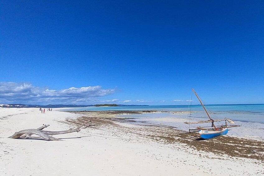 A beach with a boat and seaweed on the shore. 2