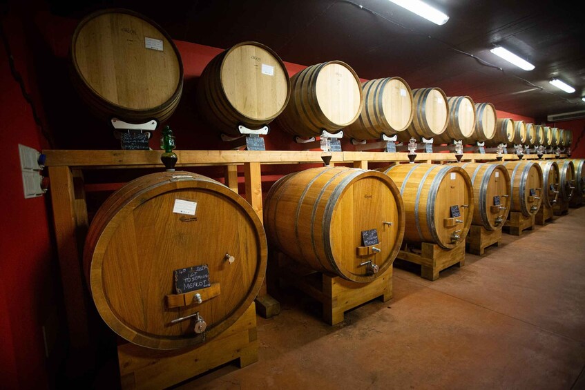 Picture 8 for Activity Montepulciano: Tuscan Winery Tour with Wine Tasting & Meal 4