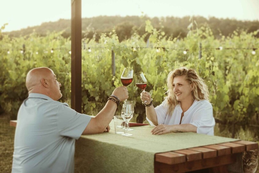 Montepulciano: Tuscan Winery Tour with Wine Tasting & Meal 1