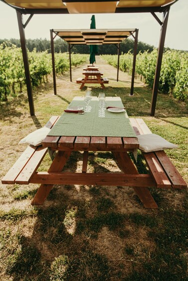 Picture 4 for Activity Montepulciano: Tuscan Winery Tour with Wine Tasting & Meal 3