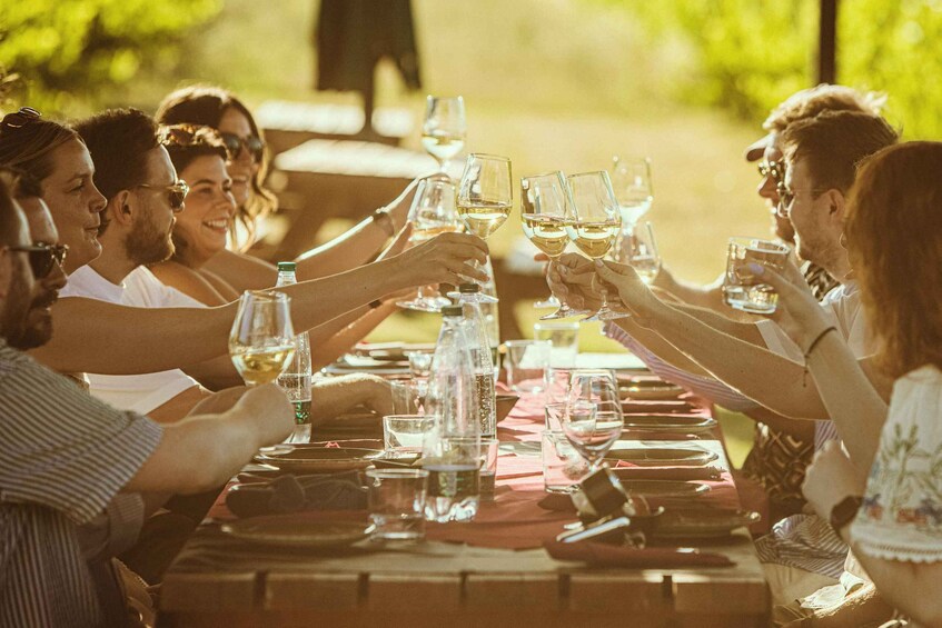 Picture 2 for Activity Montepulciano: Tuscan Winery Tour with Wine Tasting & Meal 2