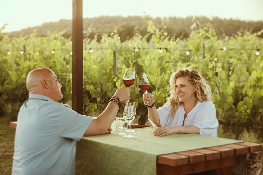 Montepulciano: Tuscan Winery Tour with Wine Tasting & Meal 1