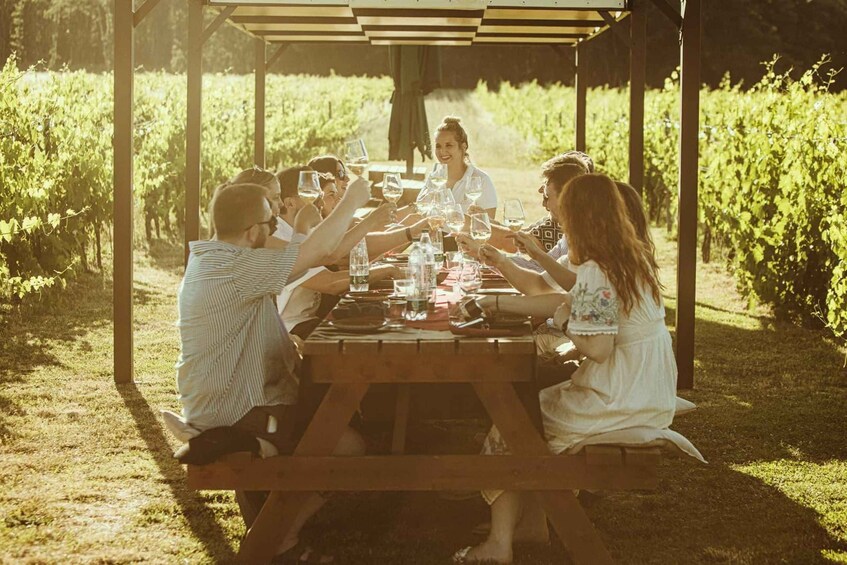 Picture 2 for Activity Montepulciano: Tuscan Winery Tour with Wine Tasting & Meal 2