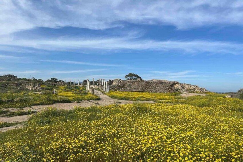 Day Tour to Famagusta, Ghost Town & Ancient Salamis 5