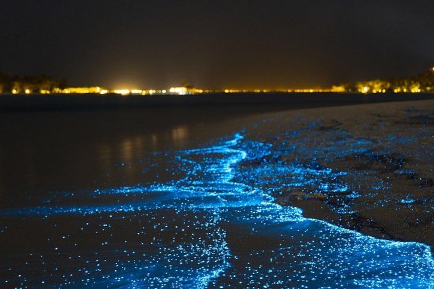 Una playa de noche con un sendero azul brillante. 1