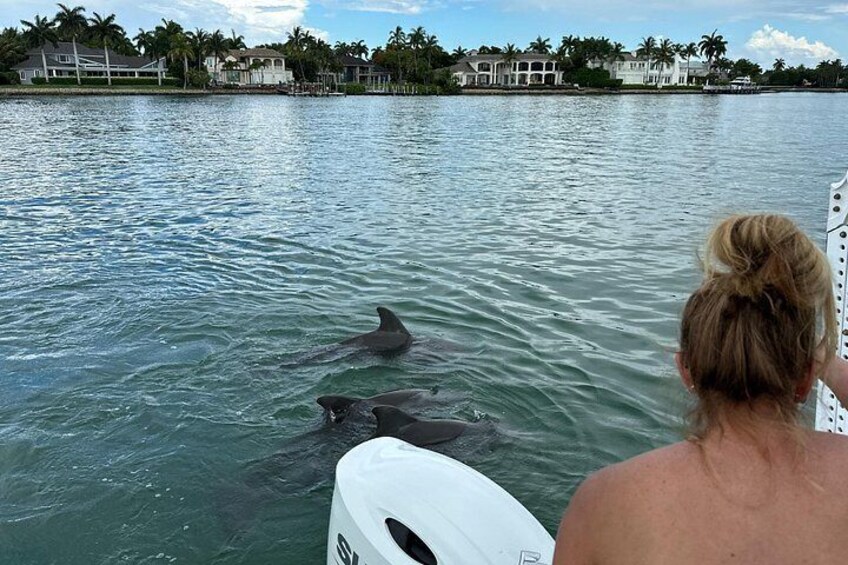 Naples Sunset & Dolphin Cruise with Charcuterie and Wine 4