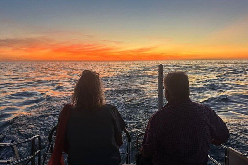 Naples Sunset & Dolphin Cruise with Charcuterie and Wine 2