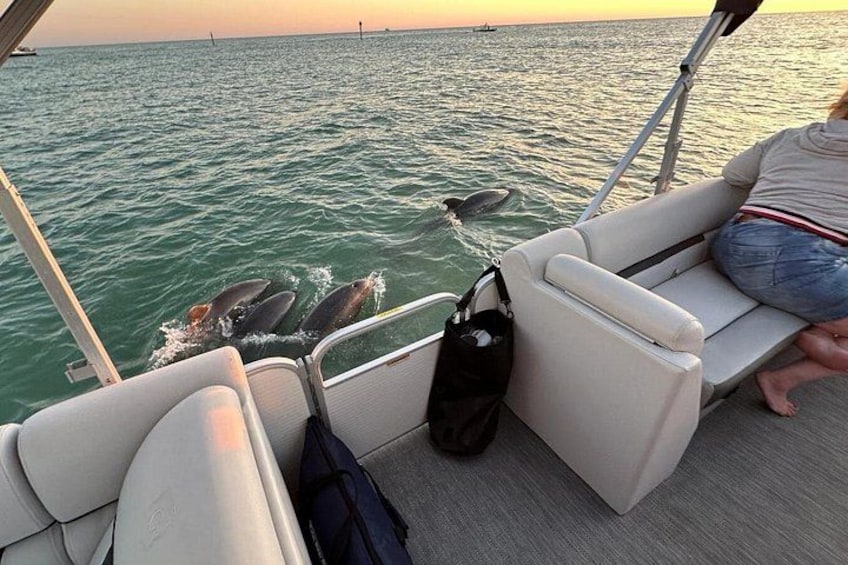 Naples Sunset & Dolphin Cruise with Charcuterie and Wine 4
