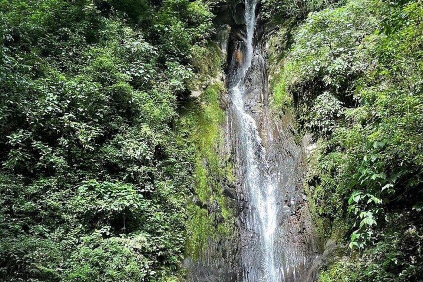 Een waterval omgeven door weelderige groene begroeiing. 1