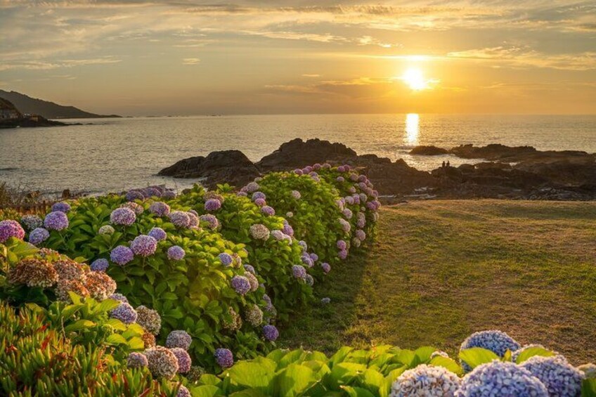 Private Tour to Biarritz and Baiona from Bilbao 2
