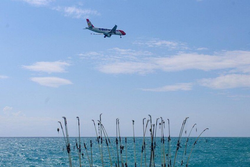 A plane flying over the ocean with tall grasses in the foreground. 4