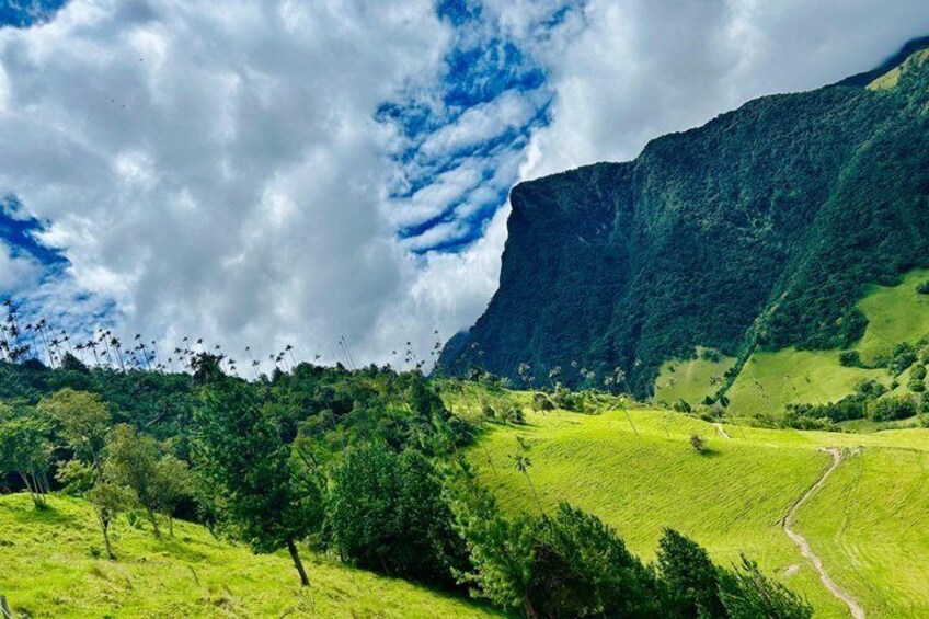 Private Full Day Tour in Cocora Valley and Coffee Farm 5