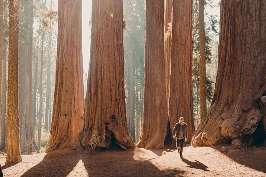 Sequoia & Kings Canyon Two Day Private Tour & Hike 3