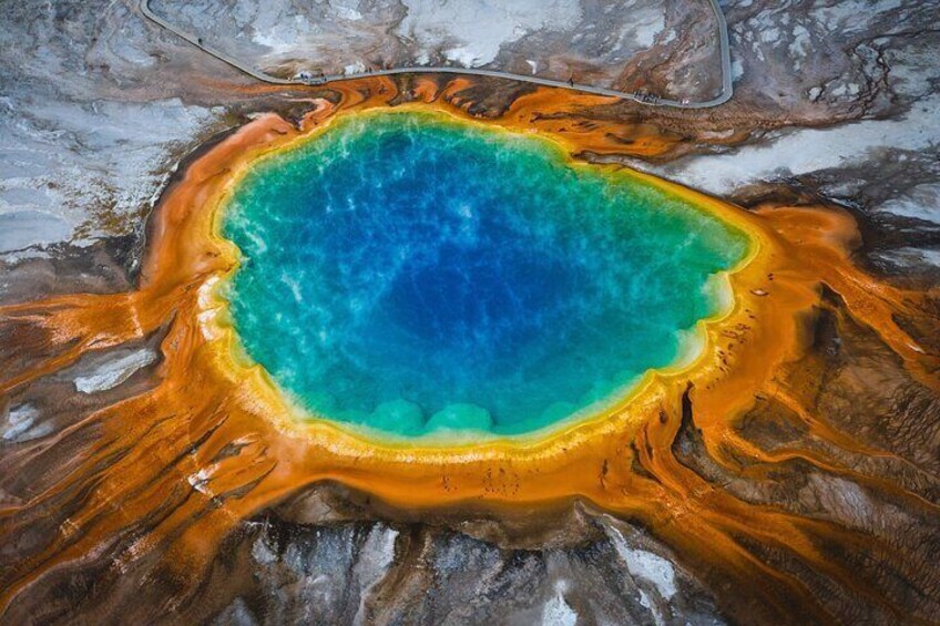 Yellowstone Full Day Small Group Tour (from West Yellowstone) 1