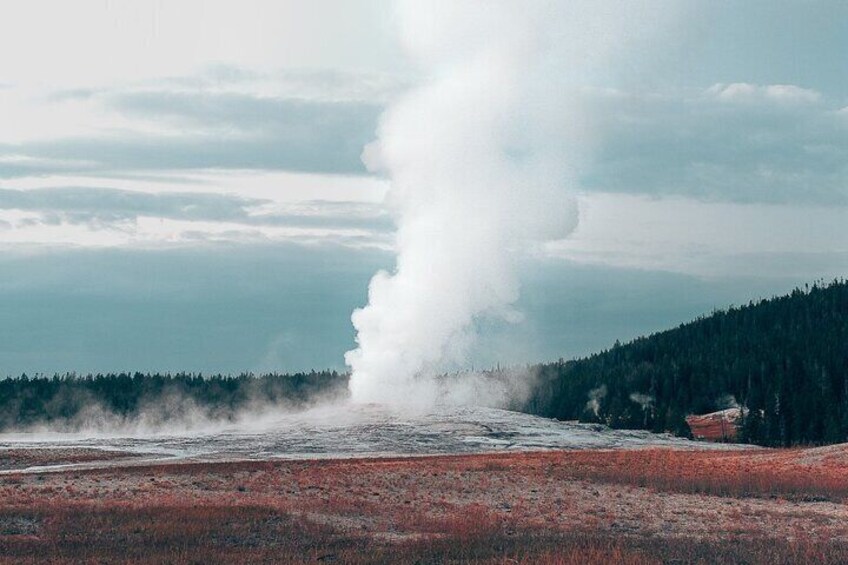 Yellowstone Full Day Small Group Tour (from West Yellowstone) 4