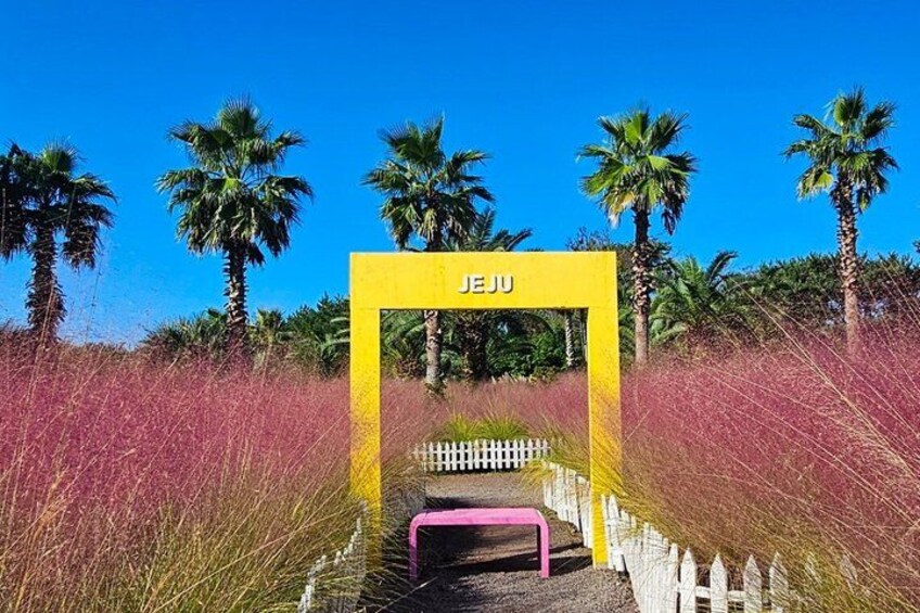 Jeju Island South UNESCO Highlights Day Tour With Mt Halla 5