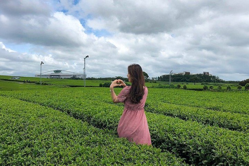 Jeju Island South UNESCO Highlights Day Tour With Mt Halla 2