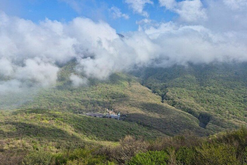 Jeju Island South UNESCO Highlights Day Tour With Mt Halla 5