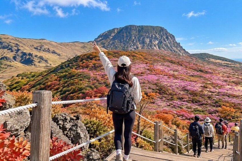 Jeju Island South UNESCO Highlights Day Tour With Mt Halla 1