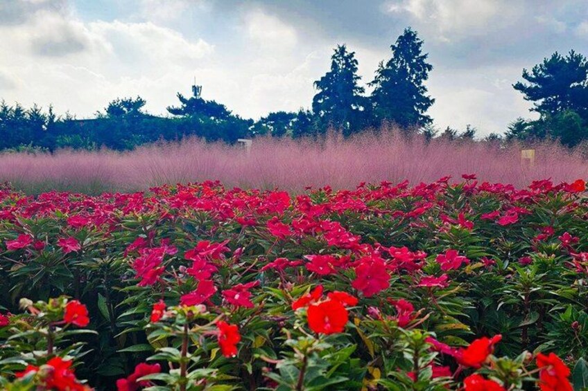 Jeju Island South UNESCO Highlights Day Tour With Mt Halla 4