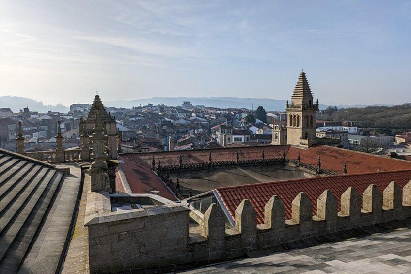 Visit to the Cathedral of Santiago with Roofs and Tower 2