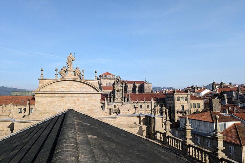 Visit to the Cathedral of Santiago with Roofs and Tower 3
