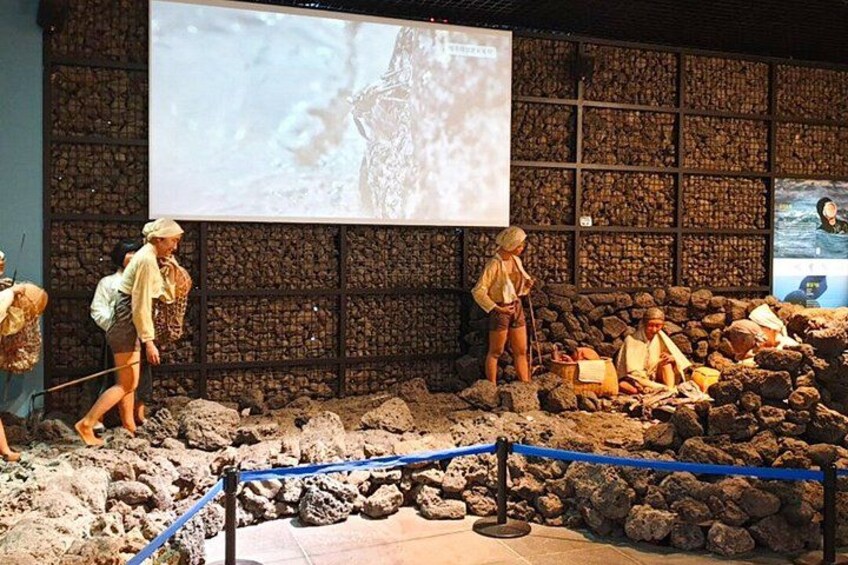 Jeju Island Eastern UNESCO site Full Day Guided Tour 5