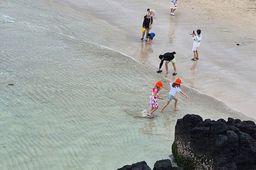 Jeju Island Eastern UNESCO site Full Day Guided Tour 3