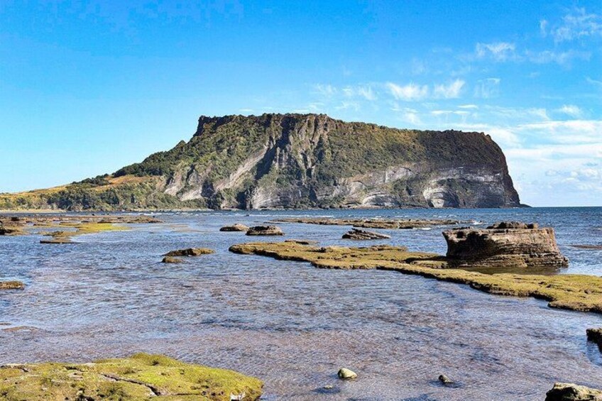 Jeju East UNESCO Tour: Tangerine Picking, Seongsan & Haenyeo 3