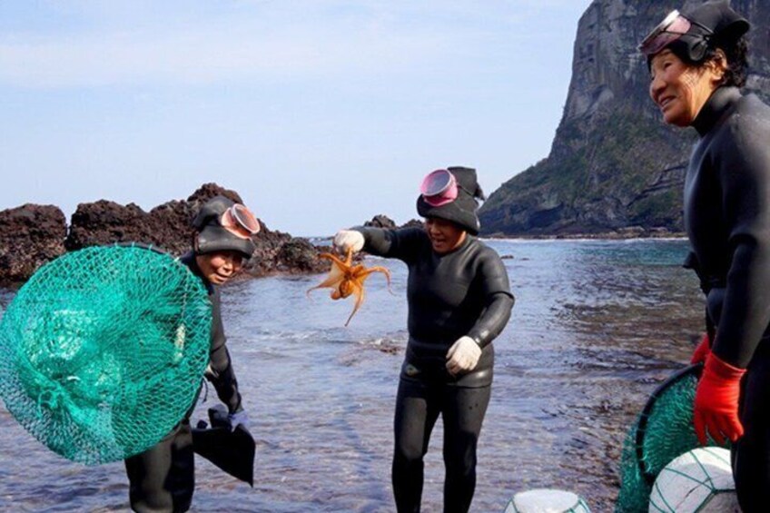 People in wetsuits near a rocky coastline, holding a green net and a starfish. 5